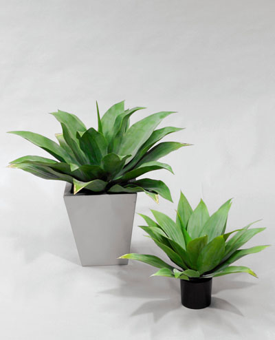 1086-45 Giant Agave 45cm, 1086-57 Giant Agave 57cm